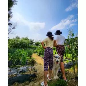 마켓노트 협력사 촌캉스룩 몸빼바지 커플 빅사이즈 할머니 엄마 꽃무늬 일바지 7부 9부