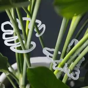 [셀러에이드]몬스테라 줄기 식물지지대 식물 정리 지지 지지대