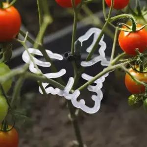 [셀러에이드]몬스테라 줄기 식물지지대 식물고정 지지성장 지지대