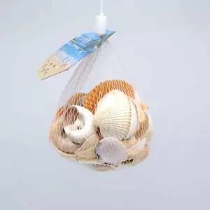 [셀러에이드]조개껍질 조개껍데기 만들기조개 조개껍질모음