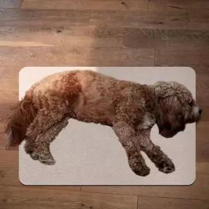 쿨매트 애완동물 알루미늄 패드 XL