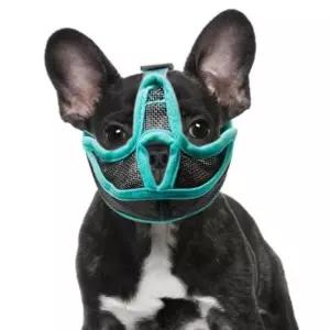 [반려] ST 강아지 물림방지 입마개 메쉬 통기성 소프트 조절가능 훈련 외출 마스크