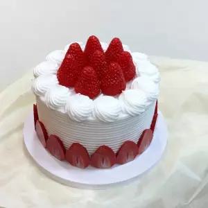 일사랑  모형 케이크 가짜 케익 학교행사