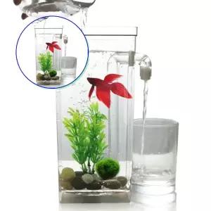 쌍문상회 물멍 자동 청소 어항 금붕어 구피 해수어 베타 키우기 네모난수족관