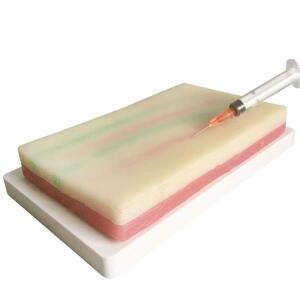 의대생 IV 실습 주입 훈련 모델, 학생 시뮬레이션 피부 봉합 패드, 과학 의료 도구용 주요 실리카 젤