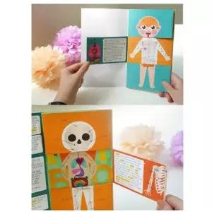 어린이집(남학생) 신체구조 나의몸속 세상 팝업북 5세트 북아트 이해 초등