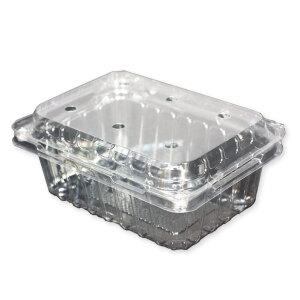 투명 과일포장 블루베리 용기 모음 오디 산딸기