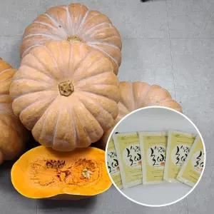 100% 늙은 호박으로 달인 즙 100ml30포