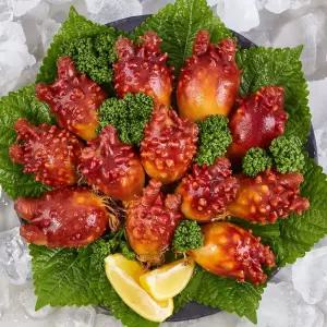 갤러리아 [맛딜] 바다향 가득 통영 꽃멍게(피멍게) 2kg