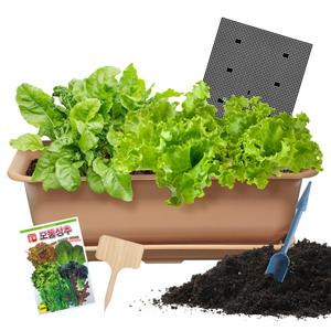 집에서 쌈채소 키우기 세트 베란다 옥상 실내 텃밭 화분 상추 재배 홈 가드닝