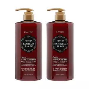 엘라스틴 카멜리아블랙 트리트먼트 1000ml, 2개