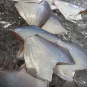 남해안 자연산 횟감용 손질 병어 300g 2-6미 원물 1kg 급냉