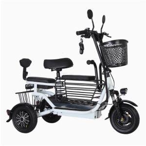 세발 전기자전거 48v 애견 동반 스쿠터 접이식 전동자전거 출퇴근용 자전거 배달 주행거리