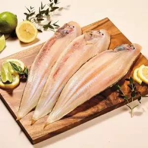 황금박대 大사이즈 5미세트(미당 150~179g)