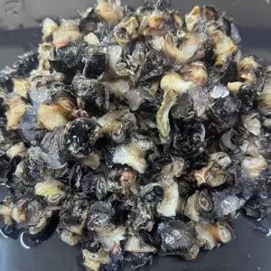 국내산 왕우렁이 1kg