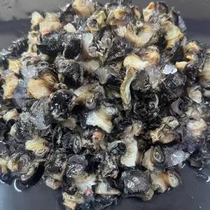 국내산 왕우렁이 1kg