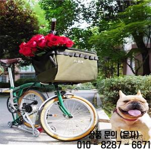 Brompton 자전거용 애완 동물 가방 강아지 고양이 바구니 견인 로프 포함 다혼 호환 20L 40x30cm