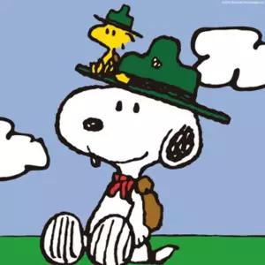 DIY 피너츠 스누피 캠프 스누피 캔버스 그림그리기 페인팅 20X20