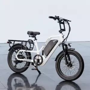 레이윙 캐리 CARRY 전기자전거 48V 500W / 삼성셀 배터리 여행 등하원