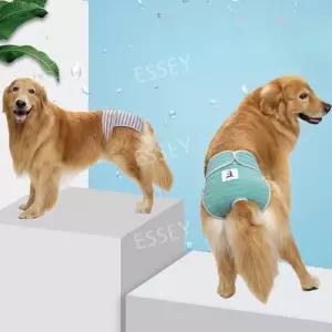 대형견 팬티 월경 리트리버 바지 패드 애완견 위생 강아지 기저귀 생리