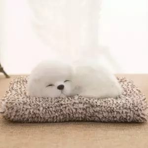 buyus  강아지 제습 탈취제 2type  굿딜 브이숍 illo001