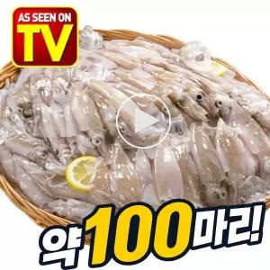 TV라이브홈쇼핑 통째 먹는 총알한치 100마리 미니오징어 건어물 술안주 간식