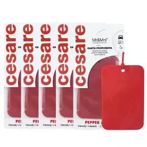 아트박스/미스터앤미세스 체사레 카드형 멀티 방향제 5개 세트