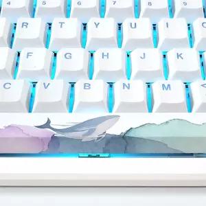 바다 고래 키캡 체리 독거미 한무무 호환 키보드 꾸미기 키캡 PBT 염료승화