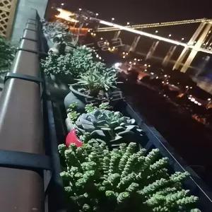 베란다 화분걸이 스테인리스 화분 거치대 선반 테라스 발코니 난간 창틀 걸이