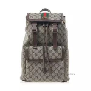 [구찌] SS25 남성 오피디아 스몰 백팩 792114 FADMF 9794