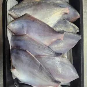 생물 횟감용 손질 두절 병어 병어회 세꼬시 500g (초장서비스)