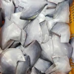 생물 병어회 세꼬시 1kg 횟감용 손질 두절 병어