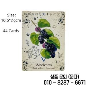 녹색 마녀 오라클 카드 운세 타로 에디션 창의력 게임 데크