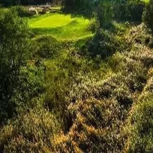 대련 골프 4일 #골프텔 #72홀 #장흥도CC #장흥도리조트 OR JI호텔 #조/석식포함 #석석패턴