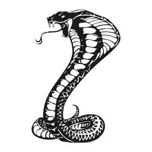 노트북 물병 휴대폰 핸드폰 케이스용 대담한 코브라 뱀 스티커 1개 - 파충류 및 타투 애호가 엣지 장식
