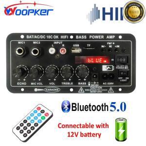 WOOPKER 디지털 블루투스 앰프 보드 D10C 서브우퍼 듀얼 마이크 스피커 자동차 노래방 홈 시어터 DIY용 30W