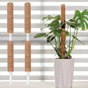 [에이치플러스몰]식물지지대 코코넛 수태봉 몬스테라 연결형 플라스틱