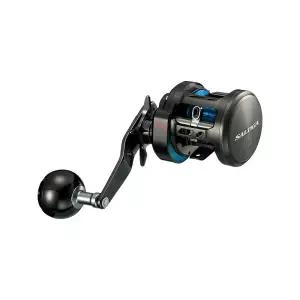 17 솔티가 BJ 베이트릴 한국 정공