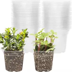 채소 허브 상추 씨앗을 위한 와이네마나 4인치 스타터 트레이 토양 실내 식물 화분용 투명 묘목 플라스틱