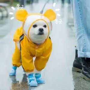 [오너클랜]잔솔 강아지 우비 레인코트 애견 판초 올인원 망토