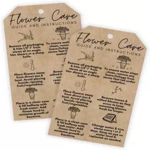 신선한 꽃 관리 지침 행태그 카드 30 pk 2x3.5 크래프트 룩 키트 음식 레시피 과립 식물 플로리스트 동봉