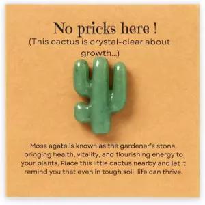 HNSBXQ 미니 모스 아가미 선인장 - 독특한 재미있는 식물 애호가 생일 선물 여성/자매/엄마 정원 정원사