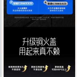 스카이워스 더블 버너 가스레인지 (가정용 LPG/천연가스 겸용 빌트인)