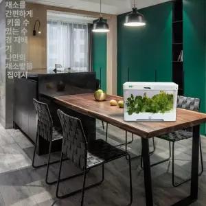 편리한 집에서상추키우기 가정용 코제