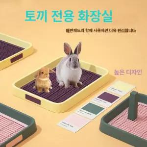 해이프 배변판 반려 동물화장실 배변통 일회용 기니피그