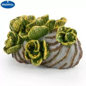 T6016 모형 완구 아우리쿨라리아 해삼류 애벌레 동물교구 인형 피규어 장난감