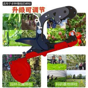 가지 묶기 기계, 신형 업그레이드 결속기, 포도 토마토 덩굴