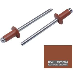 50피스 RAL8004 구리 갈색 페인트 블라인드 리벳 알루미늄 스틸 컬러 DIY 팝 엔드 패스너 1/8