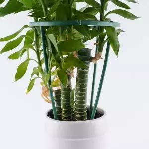 원형 식물 울타리 조립 고정 화초 지지대 4p 세트