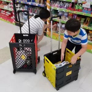 박스형 핸드 캐리어 폴더 폴딩 끌차 핸디 카트 특대